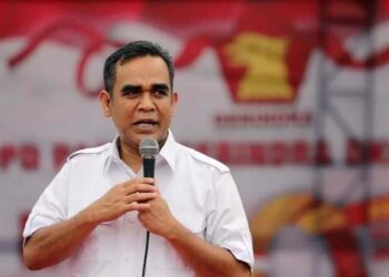 Gerindra Keluarkan Rekomendasi Cagub Sulteng hingga Cawagub Bobby, Ini Daftarnya